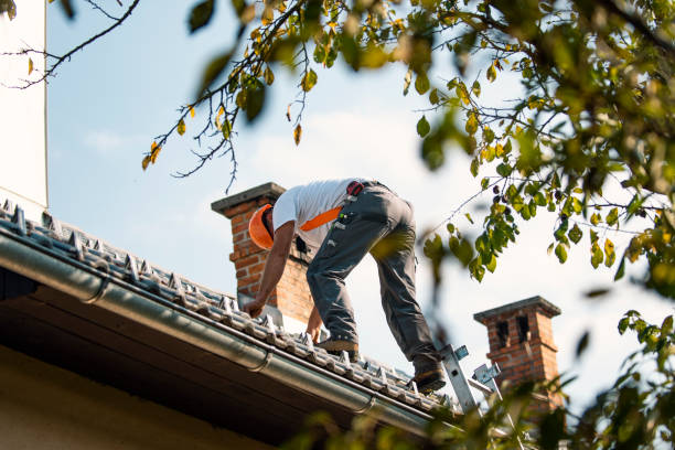Best Roof Gutter Cleaning  in Elwood, IL