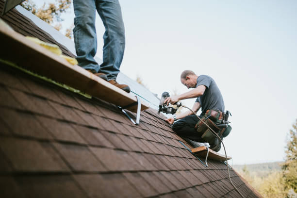 Quick and Trustworthy Emergency Roof Repair Services in Elwood, IL